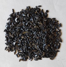 Lot 1000 perles d'occasion  Le Puy-en-Velay