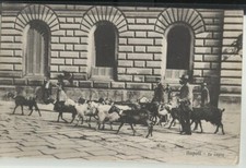 Napoli costumi capre usato  Campobasso