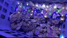 Sump rubble marine for sale  BURY ST. EDMUNDS