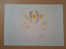 Salvador dali the gebraucht kaufen  Kaiserslautern