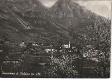 Bergamo volpino panorama usato  Mondovi