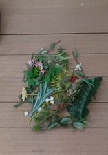 Special listing plants for sale  Pompano Beach