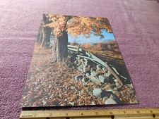 Autumn landscape art for sale  Saugatuck