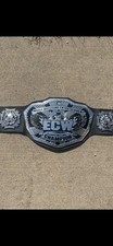 Wwe ecw big for sale  Minneapolis