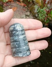 Fossil polished orthoceras for sale  WREXHAM