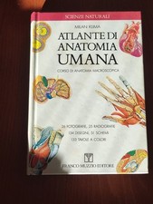 Atlante anatomia umana usato  Italia