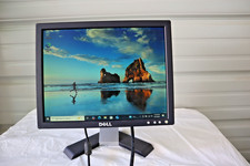 Monitor LCD Dell E156FPf /E157FPf 15" com suporte cabo VGA e cabo de alimentação incluídos comprar usado  Enviando para Brazil