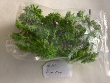 Laubbäume 10 st gebraucht kaufen  Duisburg
