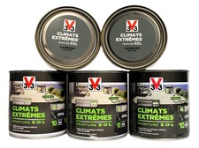 Lot peinture sol d'occasion  Soucieu-en-Jarrest