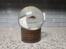 replica horseshoe crab for sale  Cypress