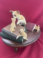 Tan white chihuahua for sale  San Jose