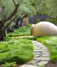 Mow lawn grass for sale  Spring Lake