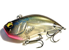 Raid japan level gebraucht kaufen  Dortmund