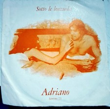 Disco vinile giri usato  Civitanova Marche