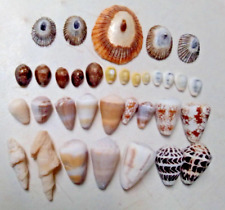 Hawaii sea glass for sale  Ewa Beach