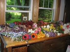 Huge colorful lot for sale  Holliston