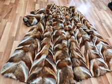 Real red fox for sale  GATESHEAD