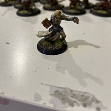 Warmachine hordes eilish for sale  FERNDALE