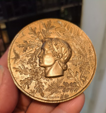 Ancienne médaille table d'occasion  Pau