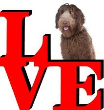 Labradoodle dog love for sale  Pottstown