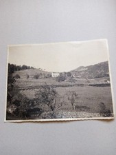 Rovaiola cortebrugnatella catt usato  Perugia