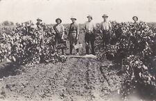 hop picking for sale  WISBECH