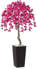 planter houseplants for sale planter houseplants for sale SALFORD