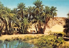 Egypt nubien d'occasion  France