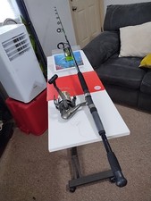 Spinning fishing rod for sale  Salisbury