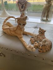 Breed apart cats for sale  NOTTINGHAM