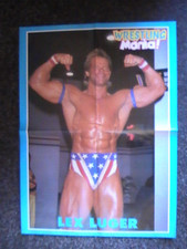 Poster wrestling mania gebraucht kaufen  Niesky