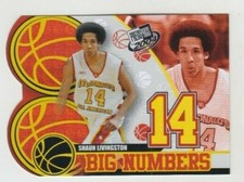Shaun livingston 2004 for sale  Casselberry