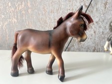 Equorum foundation donkey for sale  CHELTENHAM