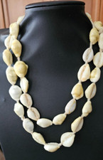 Vintage cowrie shell for sale  USA