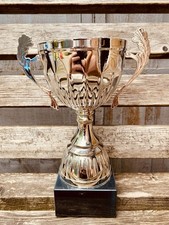 Big silver trophy for sale  UK