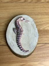 Pretty pinky purple for sale  OKEHAMPTON