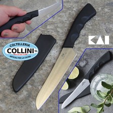 Kai coltello frutta usato  Busto Arsizio