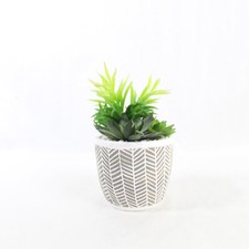 Artificial succulent arrangeme for sale  Mcminnville