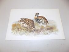 1880 antique bird for sale  Monroeville