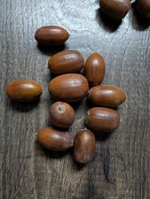 Large acorns veteran for sale  PETERBOROUGH