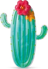 Intex cactus float usato  Italia