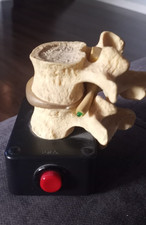 Pinched nerve chiropractic for sale  East Meadow