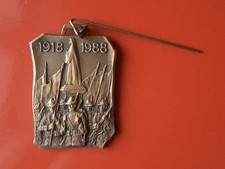 Medaglia spilla alpini usato  Cerveteri