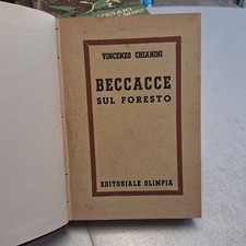 Beccacce sul foresto usato  Italia