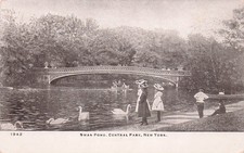 Postcard vintageny swan d'occasion  Expédié en Belgium