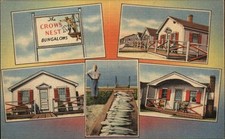 Provincetown mass crow for sale  USA