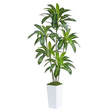 Artificial dracaena tree for sale  Brentwood