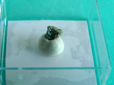 Diamant rohdiamant natürlich gebraucht kaufen  Grüna