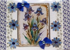 Blue harebell flowers for sale  WARRINGTON