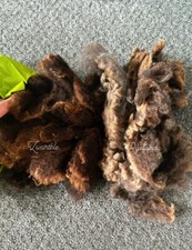 Raw wool pedigree for sale  HEREFORD